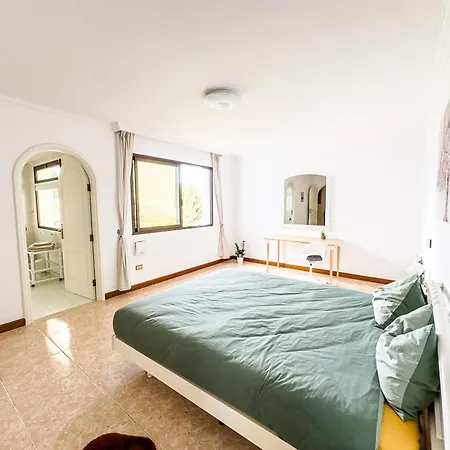 Drago Tree Tenerife *