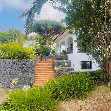 Dragon Tree Ocean & Teide Views Spacious For Groups La Orotava